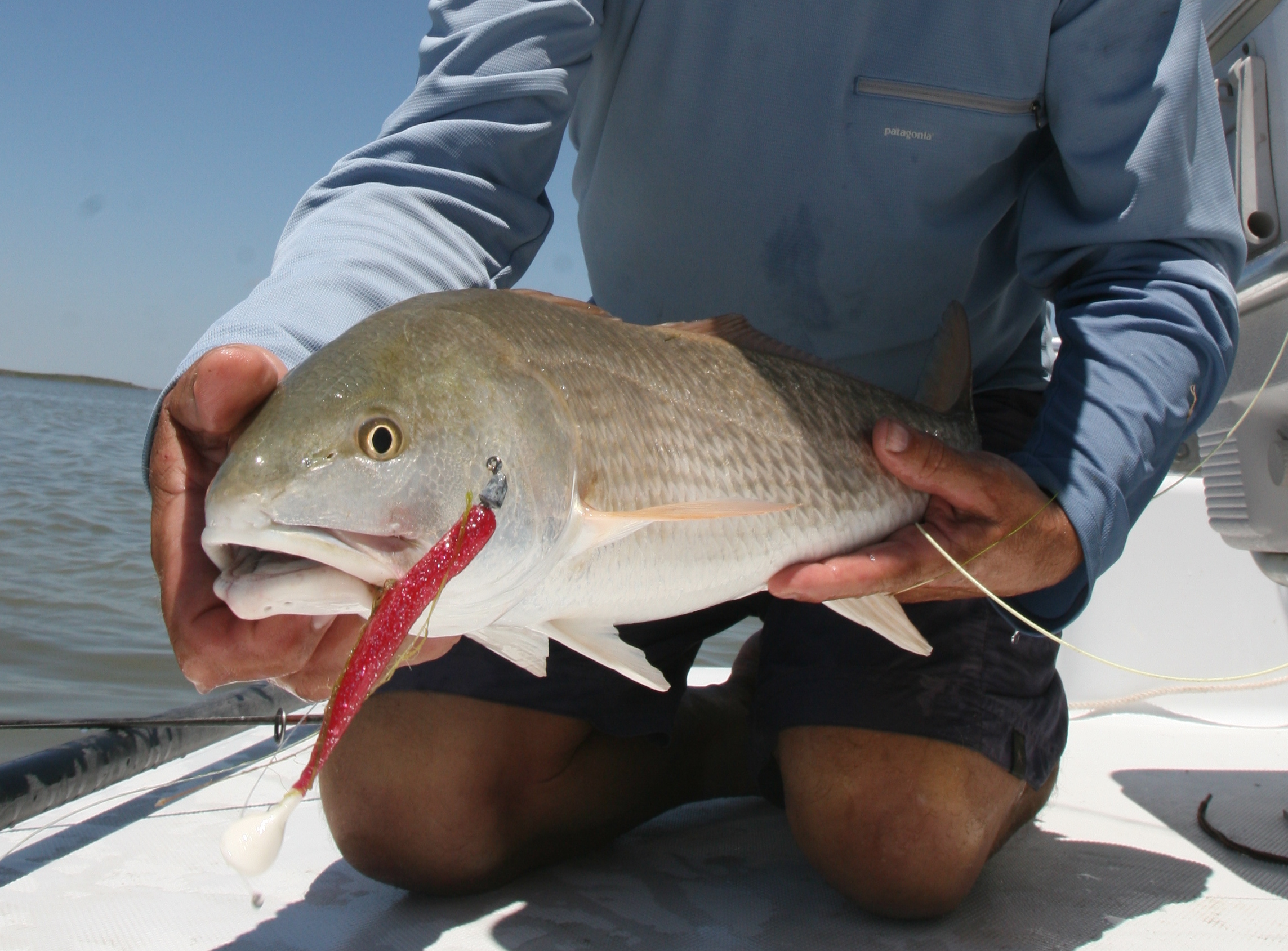 Arroyo Lodge, Arroyo City Texas